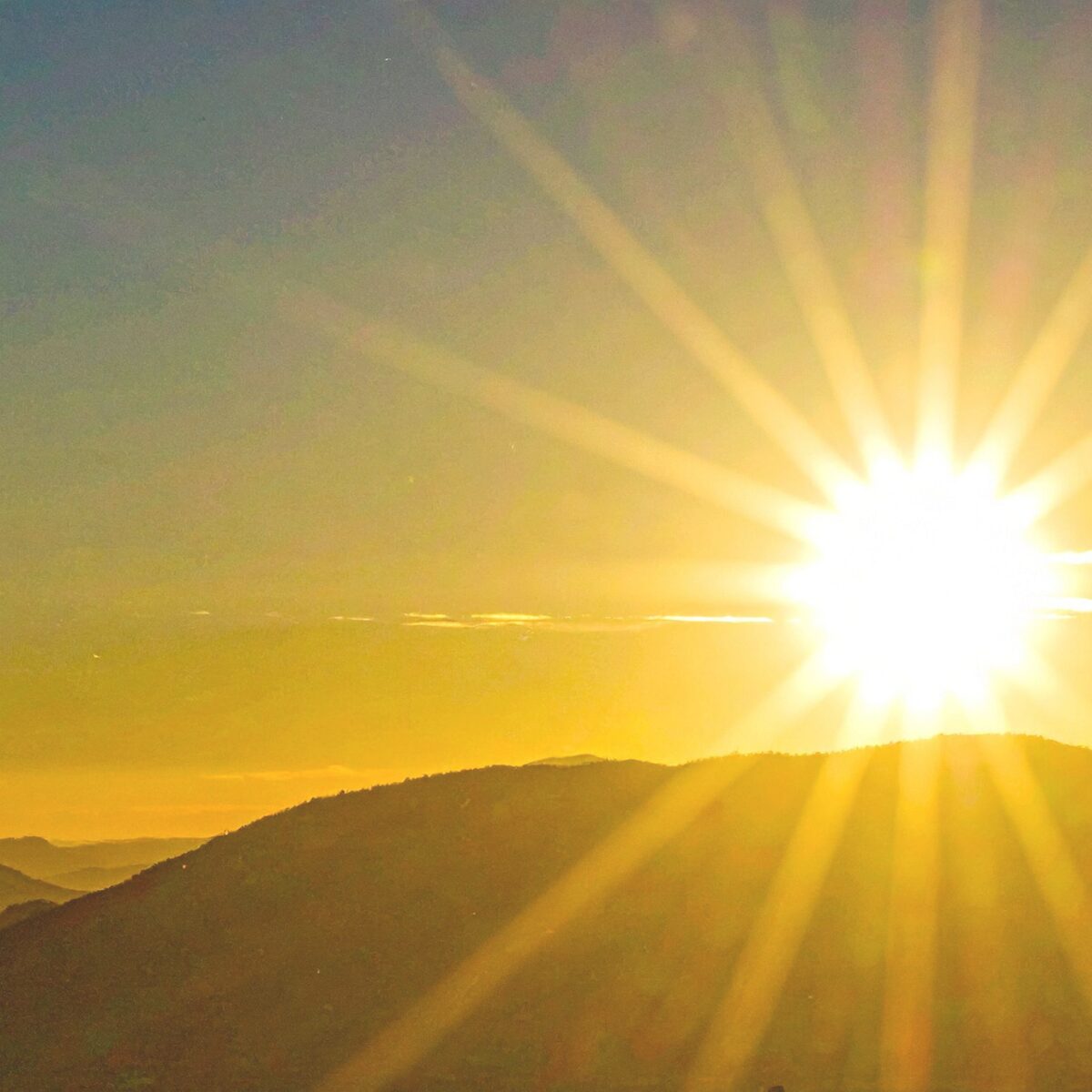 You’re More Than Your Sun Sign. Meet Your Ascendant