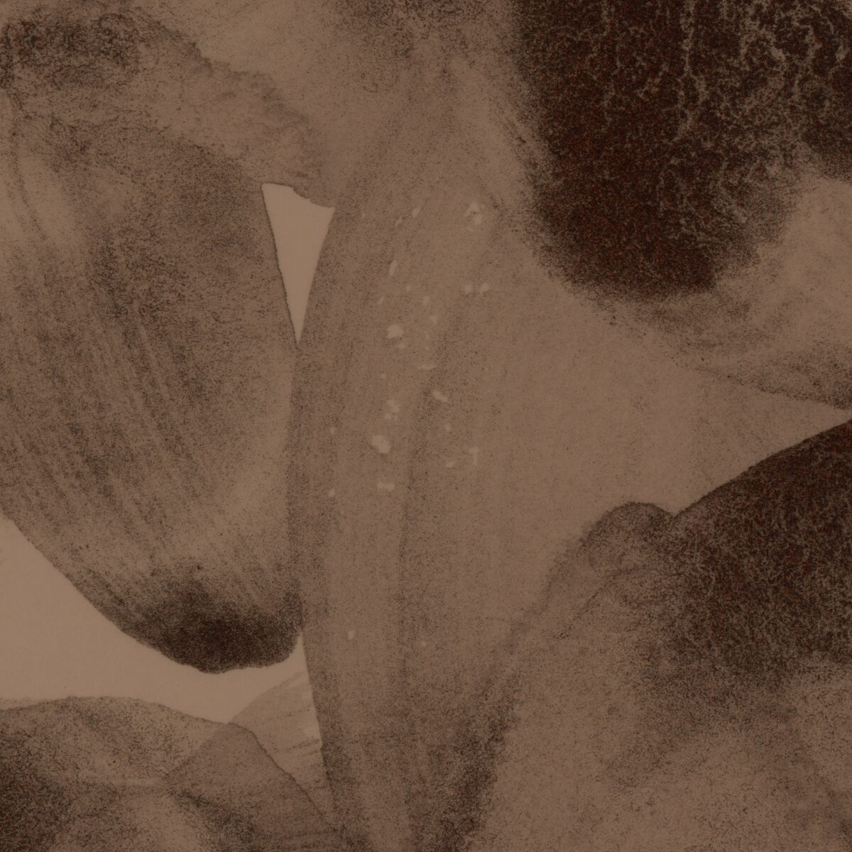 Let’s Talk About Scorpio: Stop Fear-Mongering the Fixed Water Sign